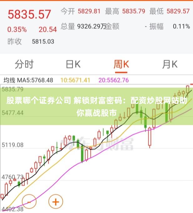 股票哪个证券公司 解锁财富密码：配资炒股网站助你赢战股市
