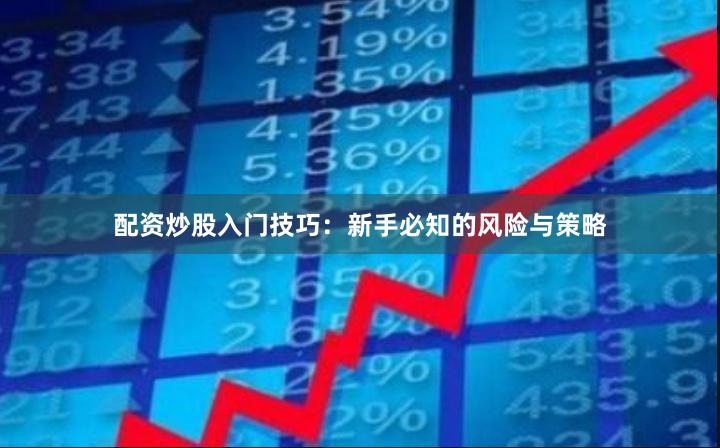 配资炒股入门技巧：新手必知的风险与策略