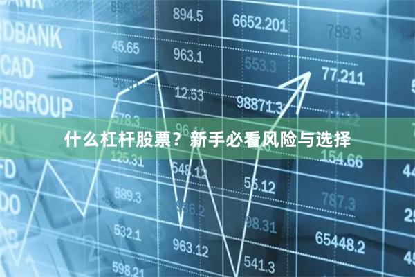 什么杠杆股票？新手必看风险与选择