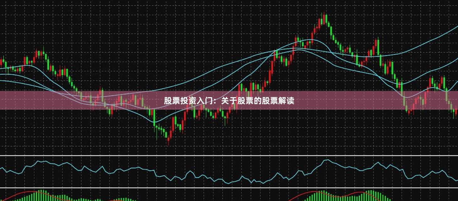 股票投资入门：关于股票的股票解读